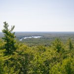 火影忍者:纲手与鸣人的无翼鸟传奇之旅 372brcj93n