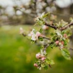 火狼动漫网官网:探索最新热门动漫资源与精彩内容分享 3anrlw