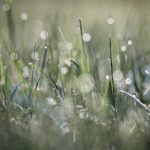 火影忍者疾风传全集观看:重温经典忍者冒险之旅 9pef7wm3