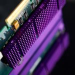 火鸟 在线观看:畅享热血传奇,感受飞翔的激情与梦想 wjo7wg4