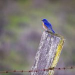 畅玩推图网页版:轻松体验全新游戏乐趣 457iuno