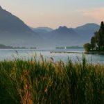 畅玩无限:2023年最新免费扑克游戏大全推荐 rugvx4h